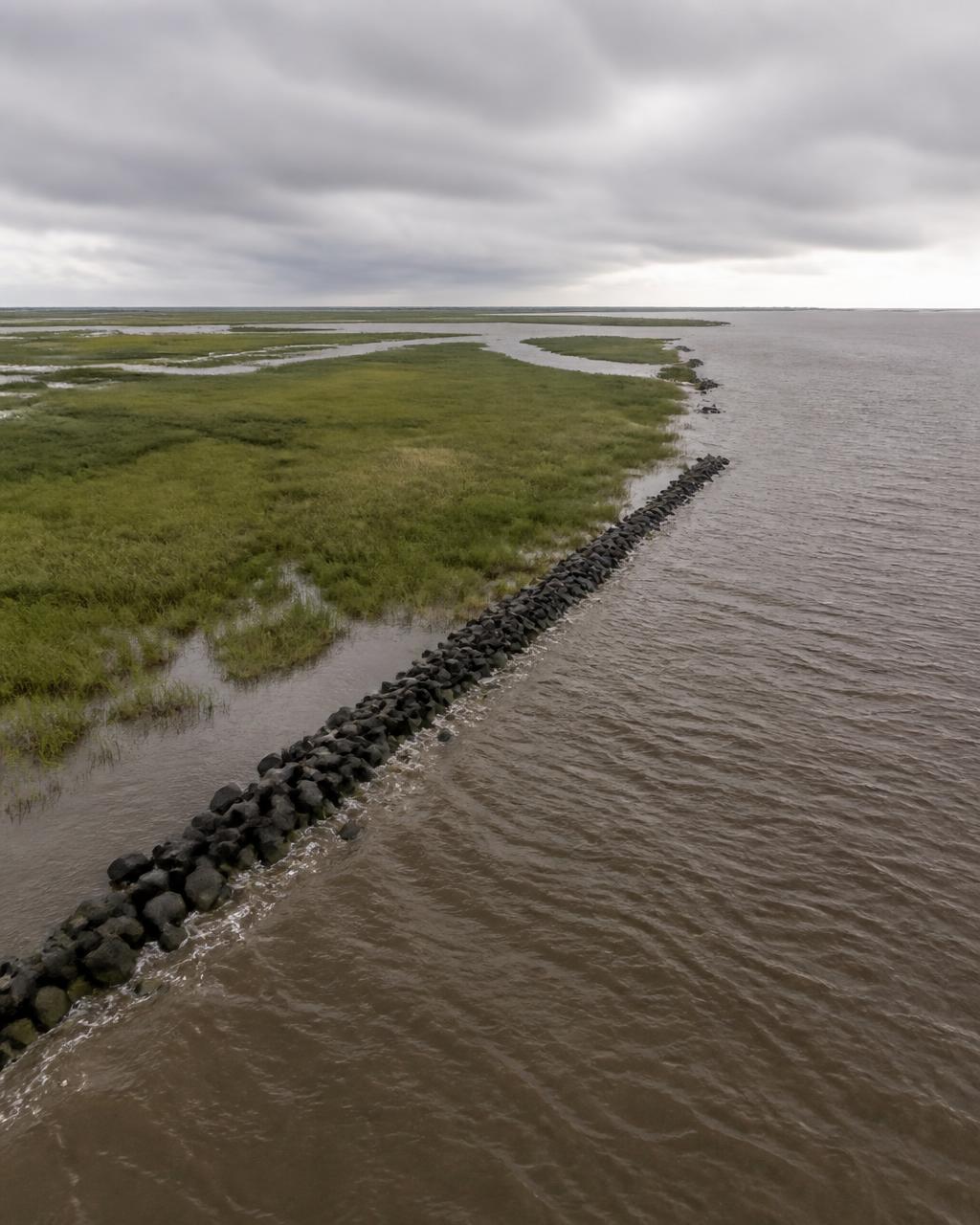 Coastal scenery representing Venice & the Mississippi River Delta