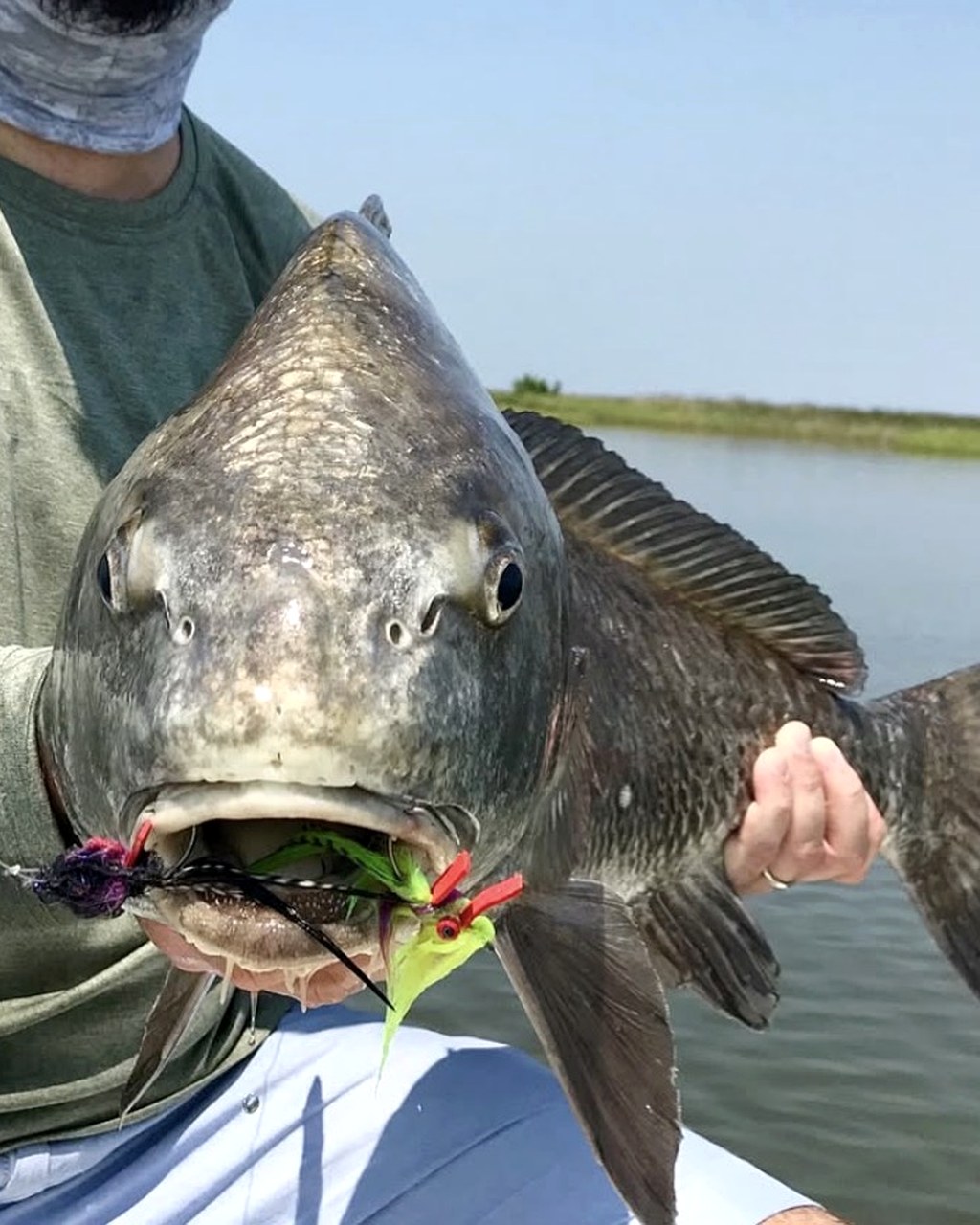 Owner-supplied photograph of an angler holding a black drum with two flies visible in its mouth